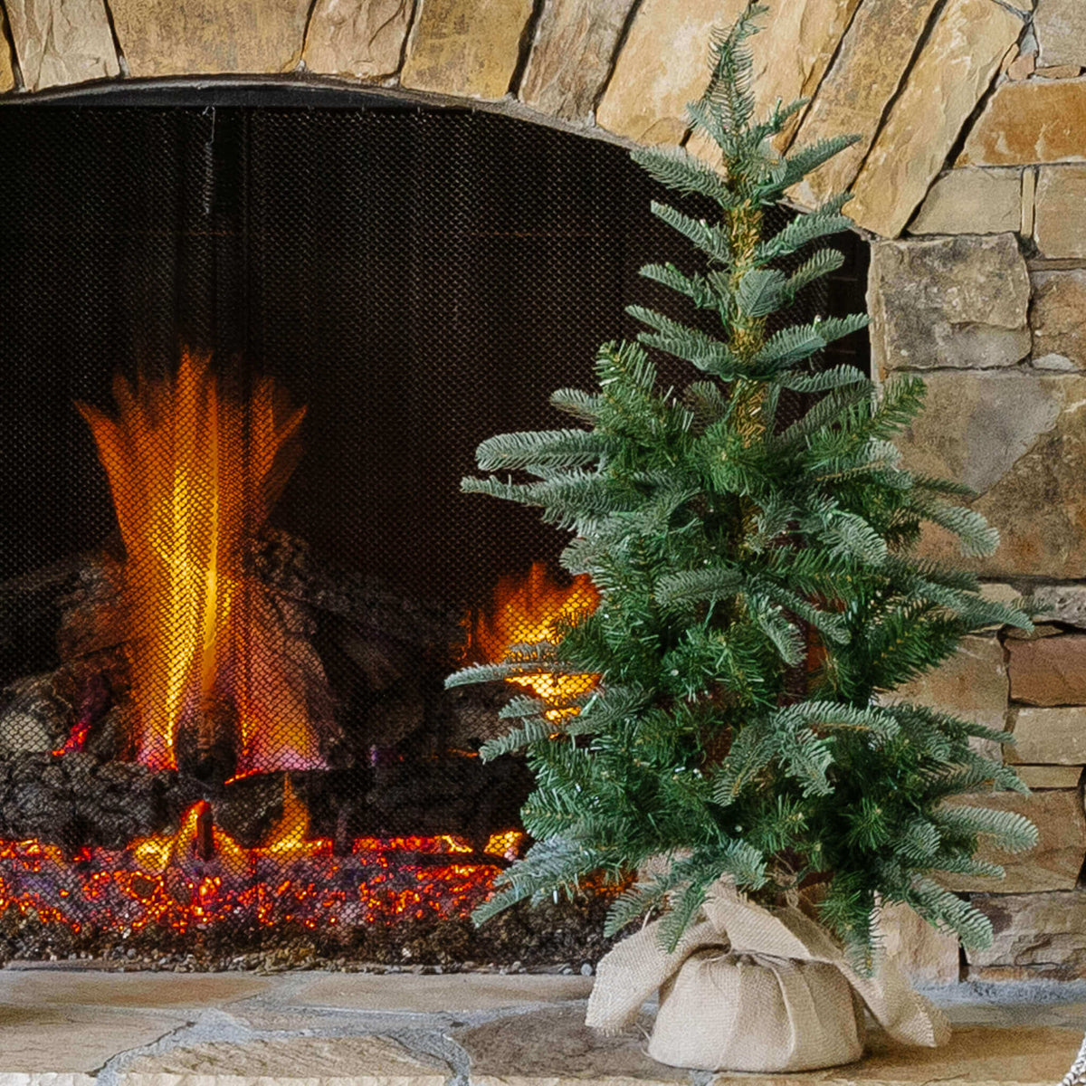 Árvore de mesa de abeto nobre de 3 pés com 70 luzes LED brancas quentes